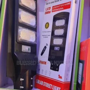 300W SGSEG Solar Street Light Price in Nigeria Nature Solar Global Limited 🇳🇬