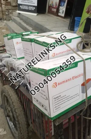 100Ah Baumann Electric Gel Solar Battery Price in Nigeria Nature Solar Global Limited 🇳🇬
