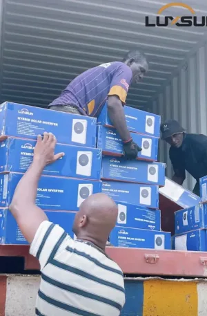 6.2KVA LuxSun Hybrid Solar Inverter Price in Nigeria Nature Solar Global Limited 🇳🇬