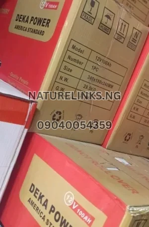 DEKA Power dry battery 100Ah 12V Price in Nigeria Nature Solar Global Limited 🇳🇬