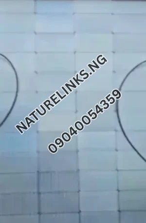 550watt Jinko Solar Panel Price in Nigeria Nature Solar Global Limited 🇳🇬