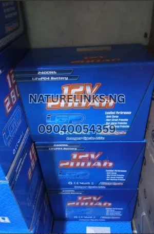 200AH/12V LGP LiFePO4 BATTERY (2400Wh) Price in Nigeria Nature Solar Global Limited 🇳🇬