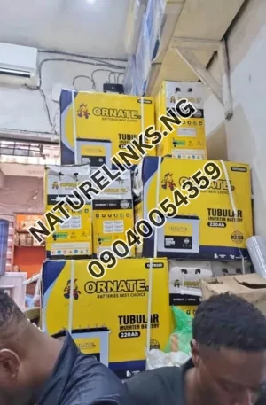 220ah tubular battery Price in Nigeria Nature Solar Global Limited 🇳🇬