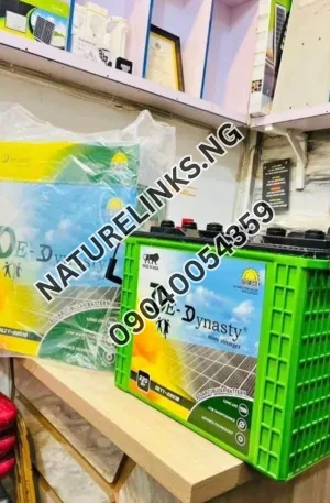 220AH De Dynasty Battery Price in Nigeria Nature Solar Global Limited