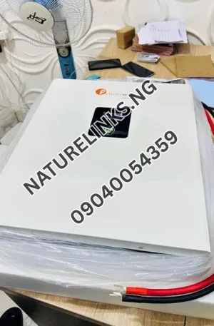 5KWH/51.2v Felicity lithium ion battery Price in Nigeria Nature Solar Global Limited
