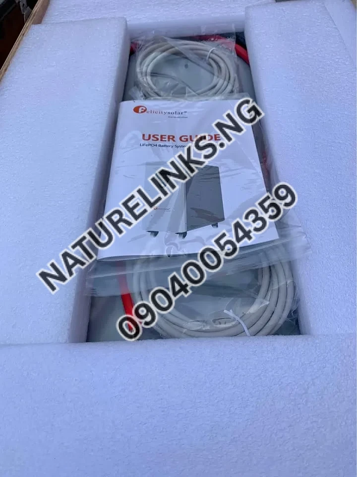 FELICITY LITHIUM ION BATTERIE 12.5kwh/51.2V Price in Nigeria 2 FELICITY LITHIUM ION BATTERIE 12.5kwh/51.2V Price in Nigeria Nature Solar Global Limited 2