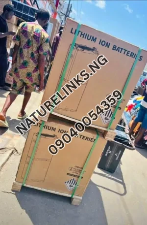 BLUE CARBON LITHIUM ION BATTERIE Price in Nigeria Nature Solar Global Limited