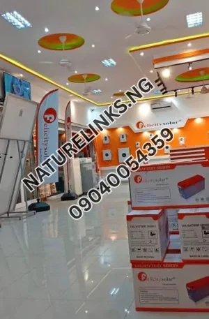 200ah felicity deep cycle battery Price in Nigeria 2 200ah felicity deep cycle battery Price in Nigeria Nature Solar Global Limited π³π¬ 2