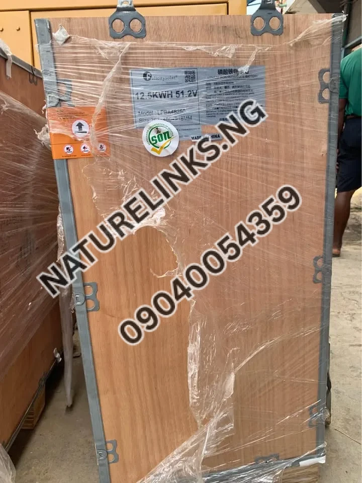 FELICITY LITHIUM ION BATTERIE 12.5kwh/51.2V Price in Nigeria 5 FELICITY LITHIUM ION BATTERIE 12.5kwh/51.2V Price in Nigeria Nature Solar Global Limited 5