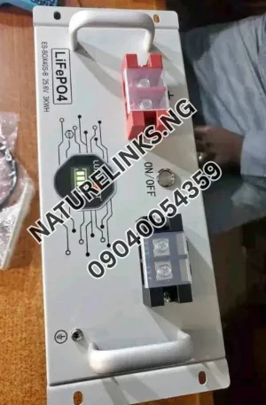 LUXWATT LiFePO4 Solar Battery with Long Cycle Life for Inverter Price in Nigeria Nature Solar Global Limited 2