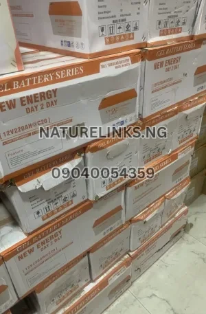 NEW ENERGY DAY 2 DAY 12v 220ah gel battery Price in Nigeria Nature Solar Global Limited 🇳🇬