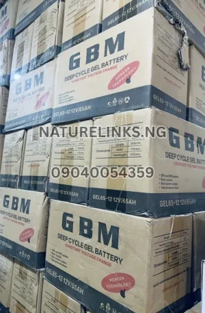 GBM 12V/65AH GEL BATTERY GEL65-12 Price in Nigeria Nature Solar Global Limited 🇳🇬 2
