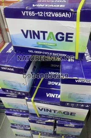 VINTAGE GEL BATTERY VT65-12 (12V65Ah) Price in Nigeria Nature Solar Global Limited 🇳🇬