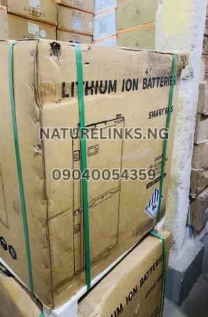 Blue carbon 15kwh 48v lithium ion battery SMART-BCT-V-48-300(P) Price in Nigeria Nature Solar Global Limited 🇳🇬