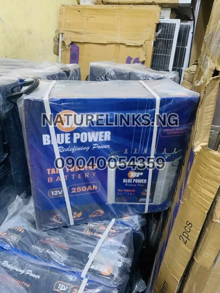 Blue power 12v 250ah tall tubular battery Price in Nigeria 2 Blue power 12v 250ah tall tubular battery Price in Nigeria Nature Solar Global Limited 2