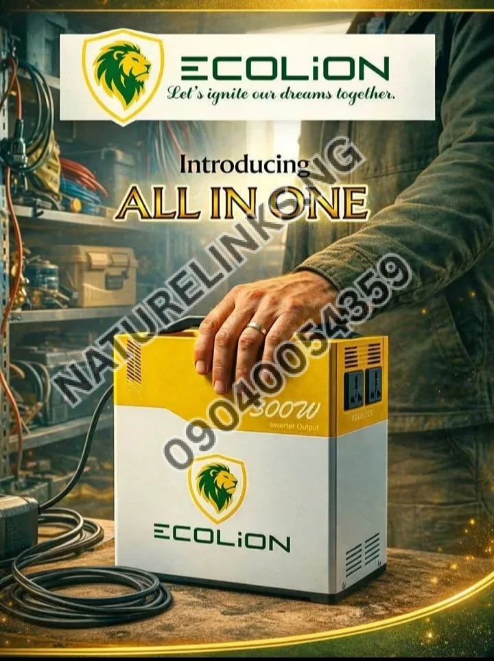 1kwh Ecolion all in one solar generator 300w output Price in Nigeria 1kwh Ecolion all in one solar generator 300w output Price in Nigeria Nature Solar Global Limited