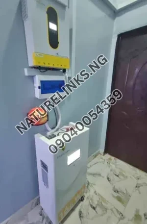 16kwh ecolion 48v and 11kva hybrid inverter Price in Nigeria Nature Solar Global Limited 🇳🇬