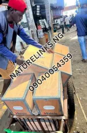 HAISIC 4KWH 12V LITHIUM BATTERY Price in Nigeria Nature Solar Global Limited