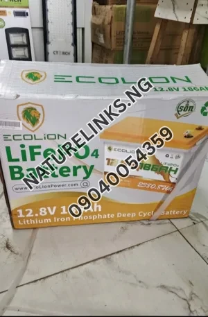 Eco lion 12v lithium battery Price in Nigeria Nature Solar Global Limited