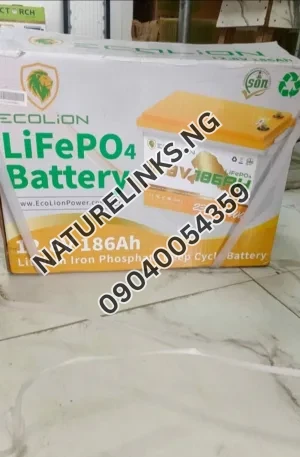 Eco lion 12v lithium battery Price in Nigeria Nature Solar Global Limited