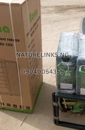 Bona Solar DC Upright Freezer Price in Nigeria Nature Solar Global Limited 🇳🇬