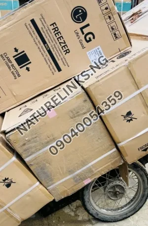 LG 304 Standing Fridge Price in Nigeria Nature Solar Global Limited 🇳🇬