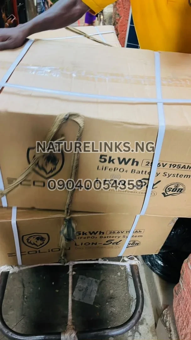 Ecolion 5Kwh 24V Lithium Battery Price in Nigeria 3 Ecolion 5Kwh 24V Lithium Battery Price in Nigeria Nature Solar Global Limited π³π¬ 3