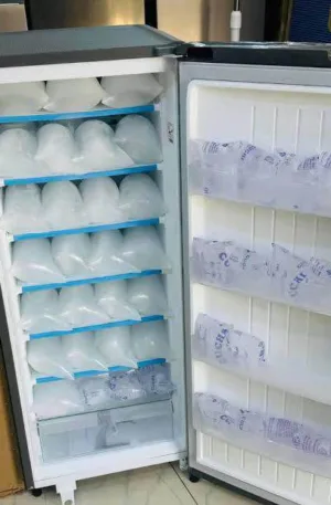 200liter Ice Block Solar Deep Freezer Bona Price in Nigeria Nature Solar Global Limited