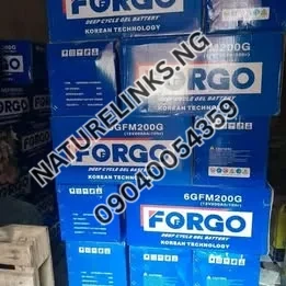 FORGO Solar Gel Battery Price in Nigeria FORGO Solar Gel Battery Price in Nigeria Nature Solar Global Limited