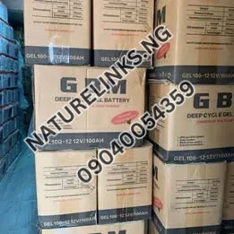 GBM Solar Gel Battery 100ah Price in Nigeria Nature Solar Global Limited
