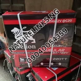 Welion Tubular Battery 220ah Price in Nigeria Nature Solar Global Limited