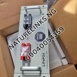 LiFePo4 Lithium Battery 3kwh 24v Price in Nigeria Nature Solar Global Limited