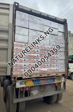Pattern Inverters Price in Nigeria Nature Solar Global Limited