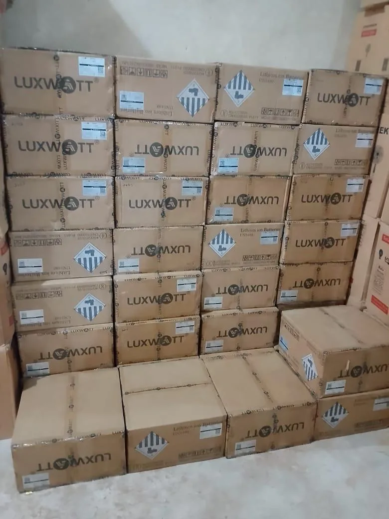 How Do I Know an Original LuxWatt Lithium Battery?
