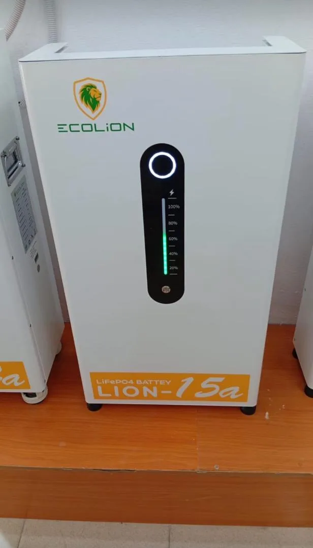 How Long Can Ecolion Lithium Battery Power a House?