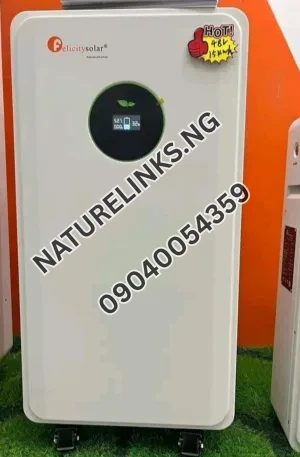 Felicity 10kwh lithium ion battery 48volts 200ahs Price in Nigeria 2 Felicity 10kwh lithium ion battery 48volts 200ahs Price in Nigeria Nature Solar Global Limited 2