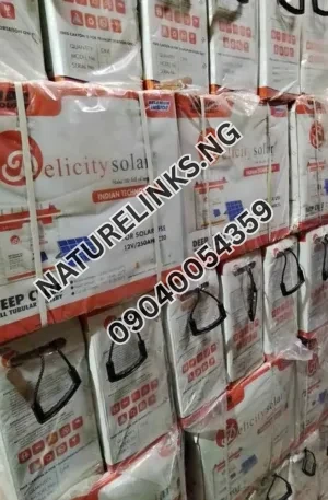 12v 250ah Felicity solar tubular batteries Price in Nigeria 2 12v 250ah Felicity solar tubular batteries Price in Nigeria Nature Solar Global Limited 2