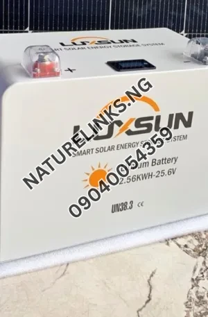 Luxsun 2.5kwh lithium battery 24v Price in Nigeria Nature Solar Global Limited