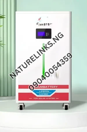 Five-Star 15kwh Lithium Battery Price in Nigeria Nature Solar Global Limited
