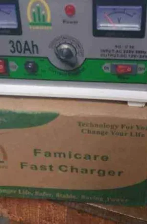 30ah Femicare Battery Charger 12v-24v Price in Nigeria Nature Solar Global Limited