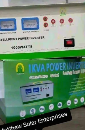 Famicare inverter 1kva 12v Price in Nigeria Nature Solar Global Limited