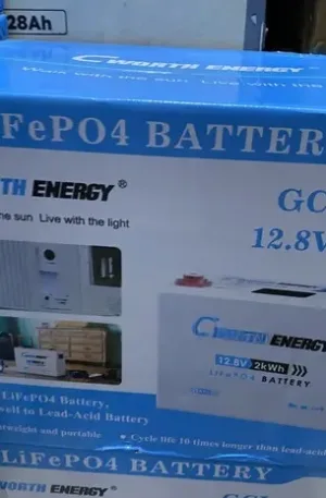 2kwh 12V Cworth Lithium Battery Price in Nigeria Nature Solar Global Limited