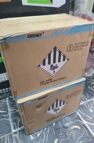 100ah/12v Cworth Lithium Battery Price in Nigeria Nature Solar Global Limited