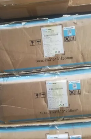 10kwh Cworth Lithium Battery Price in Nigeria Nature Solar Global Limited