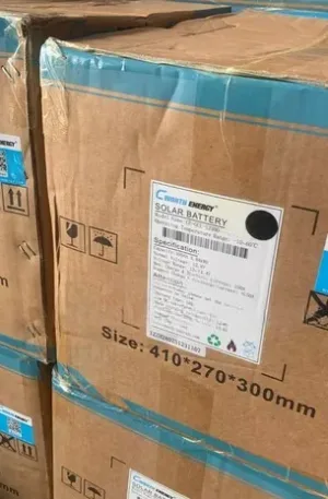 Cworth 100ah Lithium Ion Batteries Price in Nigeria Nature Solar Global Limited