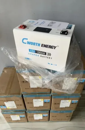 100ah 12.8v Cworth 1.3kwh Lithium Ion Phosphate Battery Price in Nigeria Nature Solar Global Limited 2