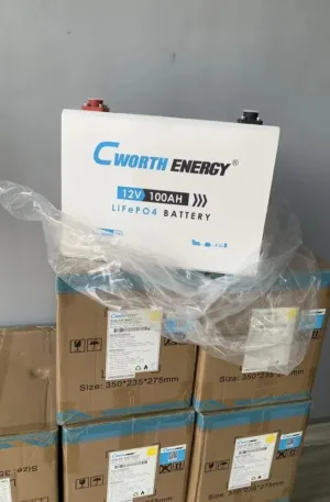 Cworth Energy 100ah 12.8v 1.3kwh Lithium Ion Battery Price in Nigeria Nature Solar Global Limited