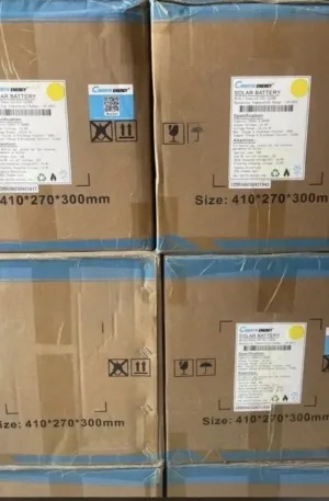 2.5kwh-12.8v Cworth Solar Lithium Battery Price in Nigeria Nature Solar Global Limited