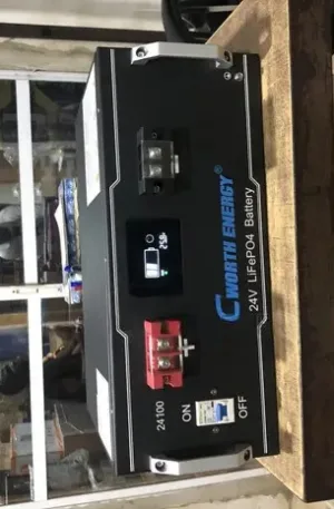 Cworth Lithium Battery 2.5kwh 24v 5yrs Warranty Price in Nigeria Nature Solar Global Limited 2