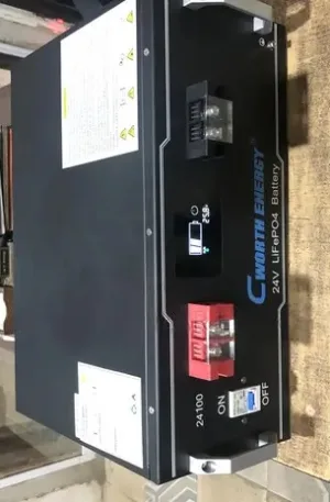 Cworth Lithium Battery 2.5kwh 24v 5yrs Warranty Price in Nigeria Nature Solar Global Limited